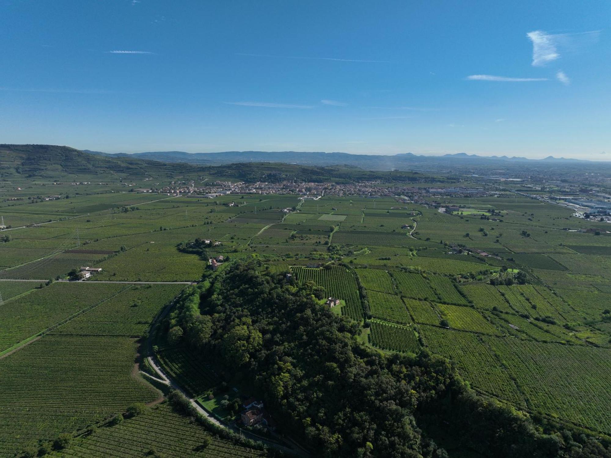 Agriturismo Monte Bisson Soave  Eksteriør bilde